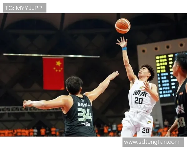 明星篮球少年遭遇不幸事件引发社会广泛关注与反思